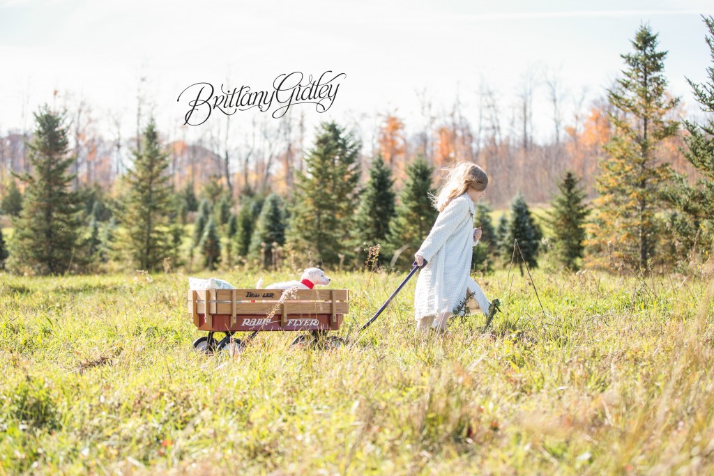 Tree Farm Dream Mini Sessions-24