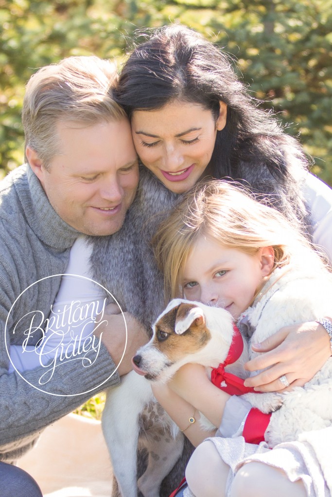 Tree Farm Dream Mini Sessions-25