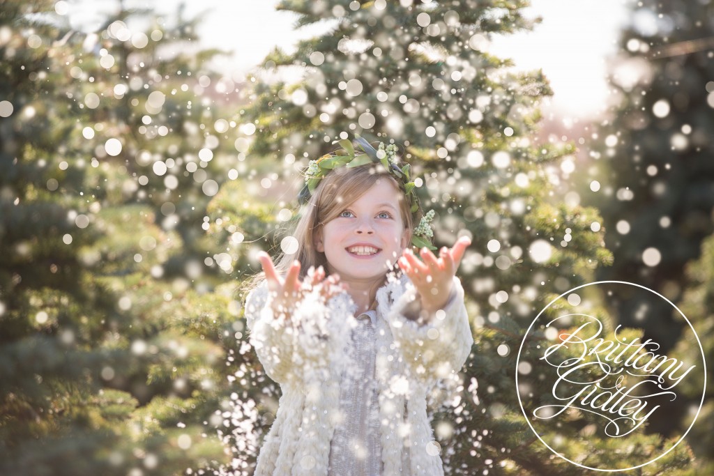 Tree Farm Dream Mini Sessions-26