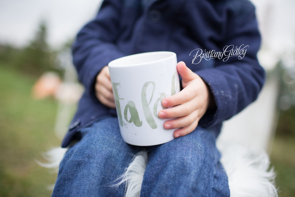 Tree Farm Dream Mini Sessions-30