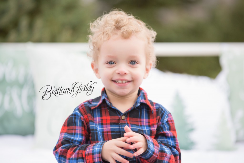 Tree Farm Dream Mini Sessions-32