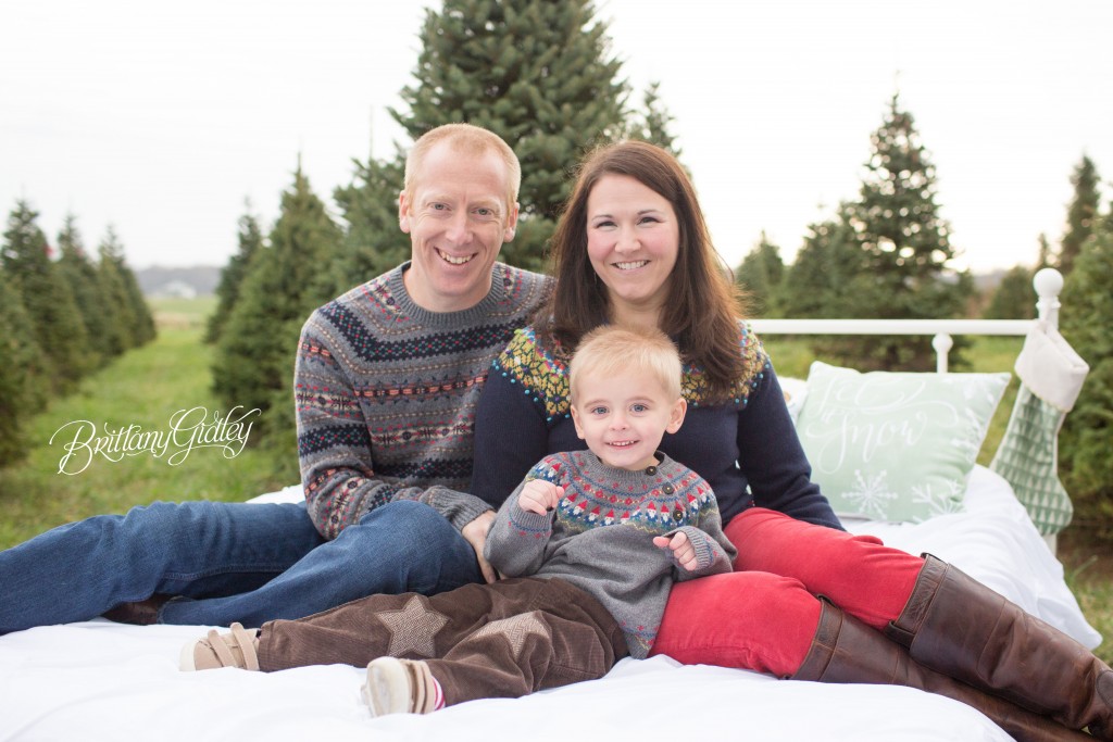Tree Farm Dream Mini Sessions-33