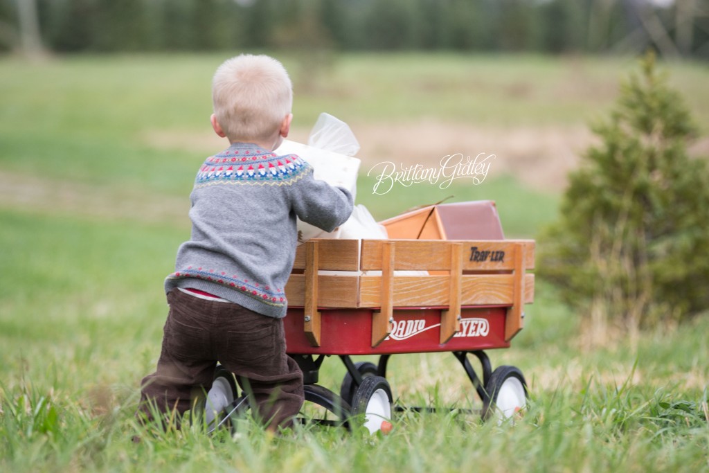 Tree Farm Dream Mini Sessions-34
