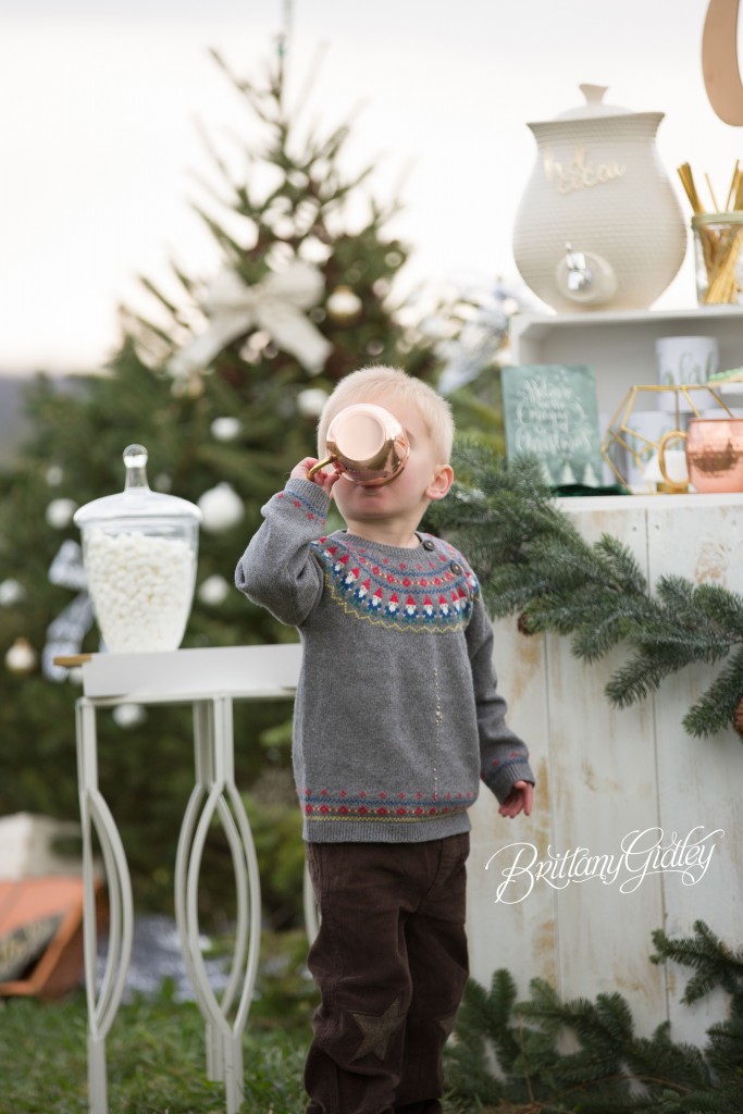 Tree Farm Dream Mini Sessions-35