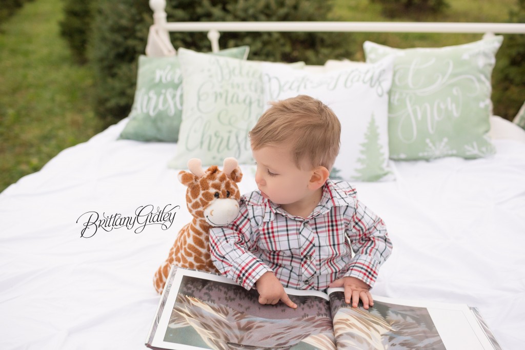 Tree Farm Dream Mini Sessions-38