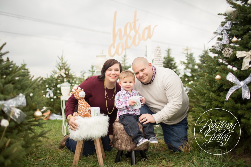 Tree Farm Dream Mini Sessions-39