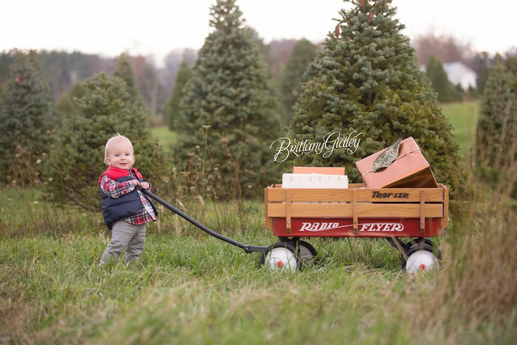 Tree Farm Dream Mini Sessions-40