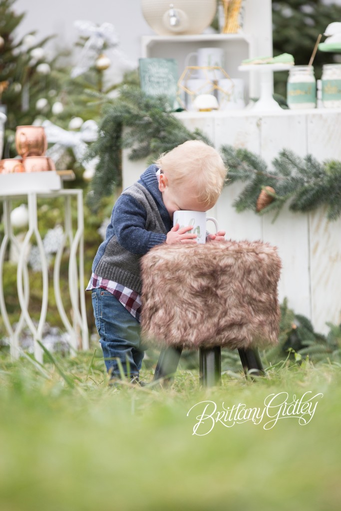 Tree Farm Dream Mini Sessions-41