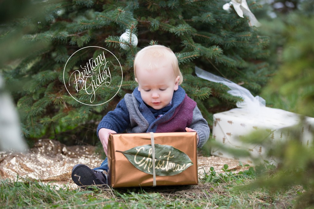 Tree Farm Dream Mini Sessions-42