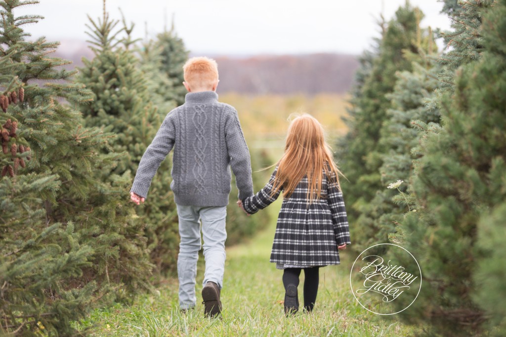 Tree Farm Dream Mini Sessions-44