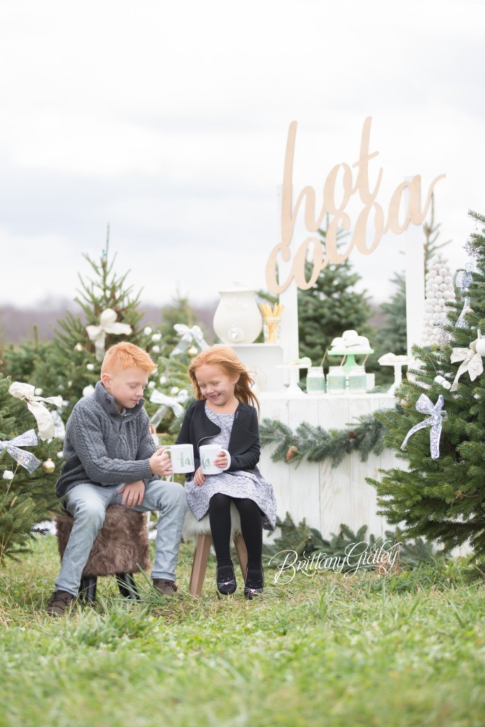 Tree Farm Dream Mini Sessions-45