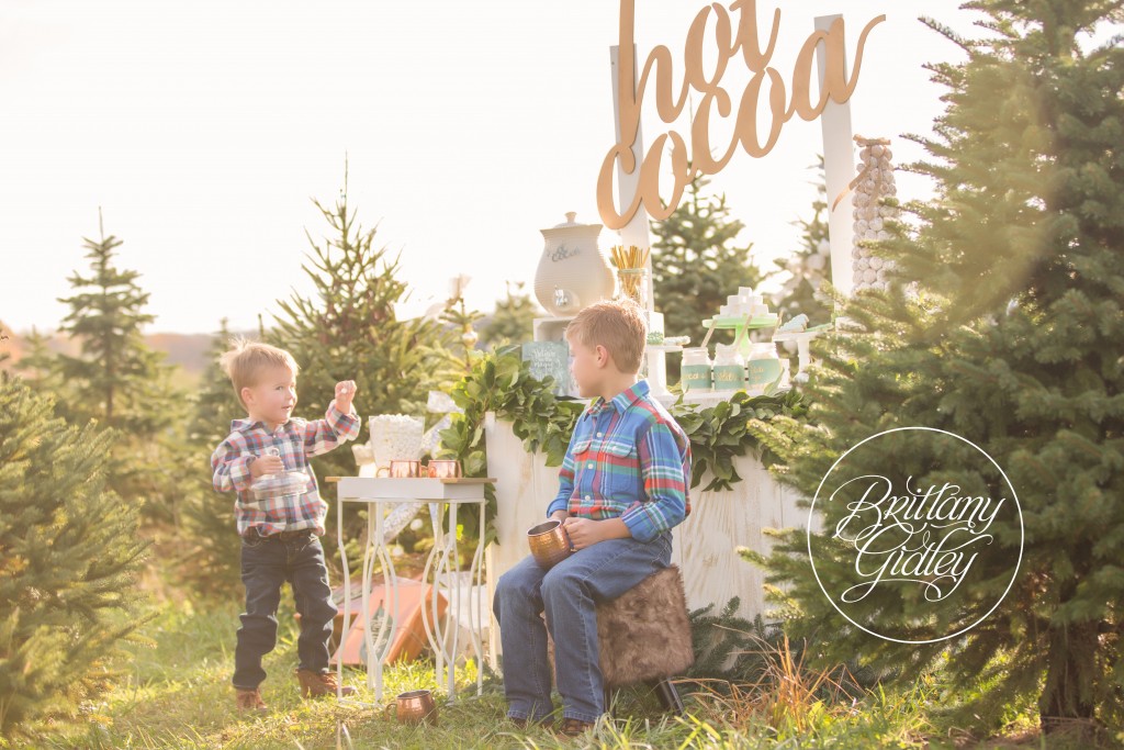 Tree Farm Dream Mini Sessions-5