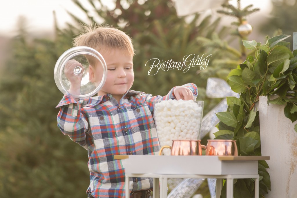 Tree Farm Dream Mini Sessions-6