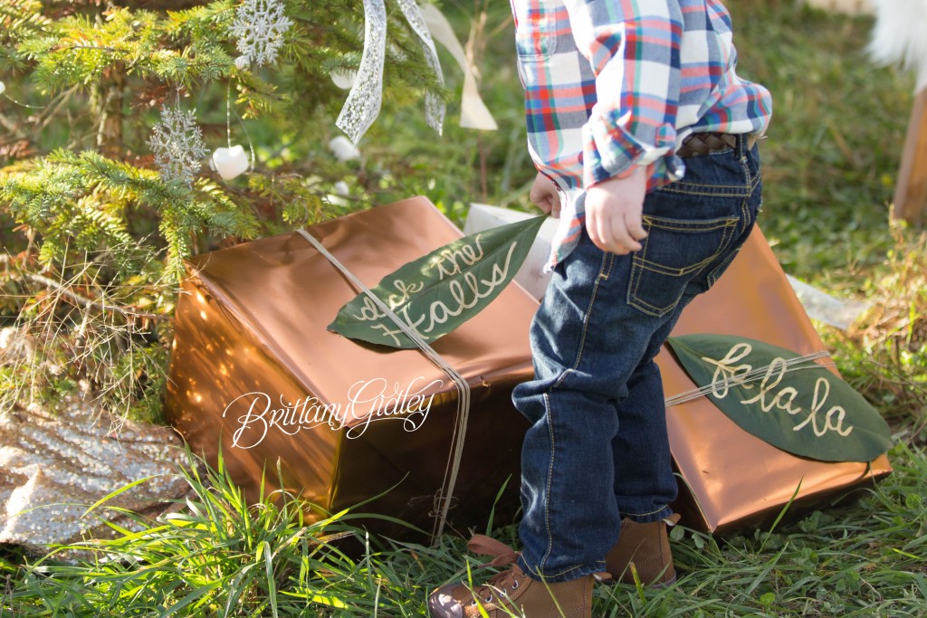 Tree Farm Dream Mini Sessions-7