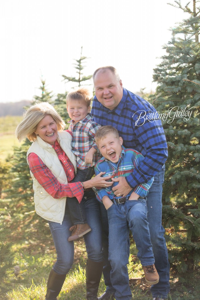 Tree Farm Dream Mini Sessions-8