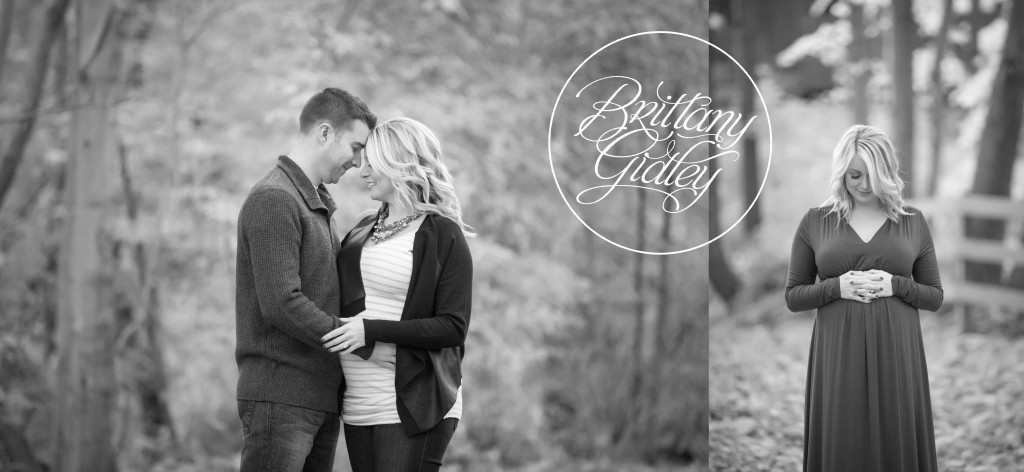 Fall Maternity Photo Shoot | Fortier Park | Olmsted Falls, Ohio | Fall Portraits | Maternity | Pregnancy