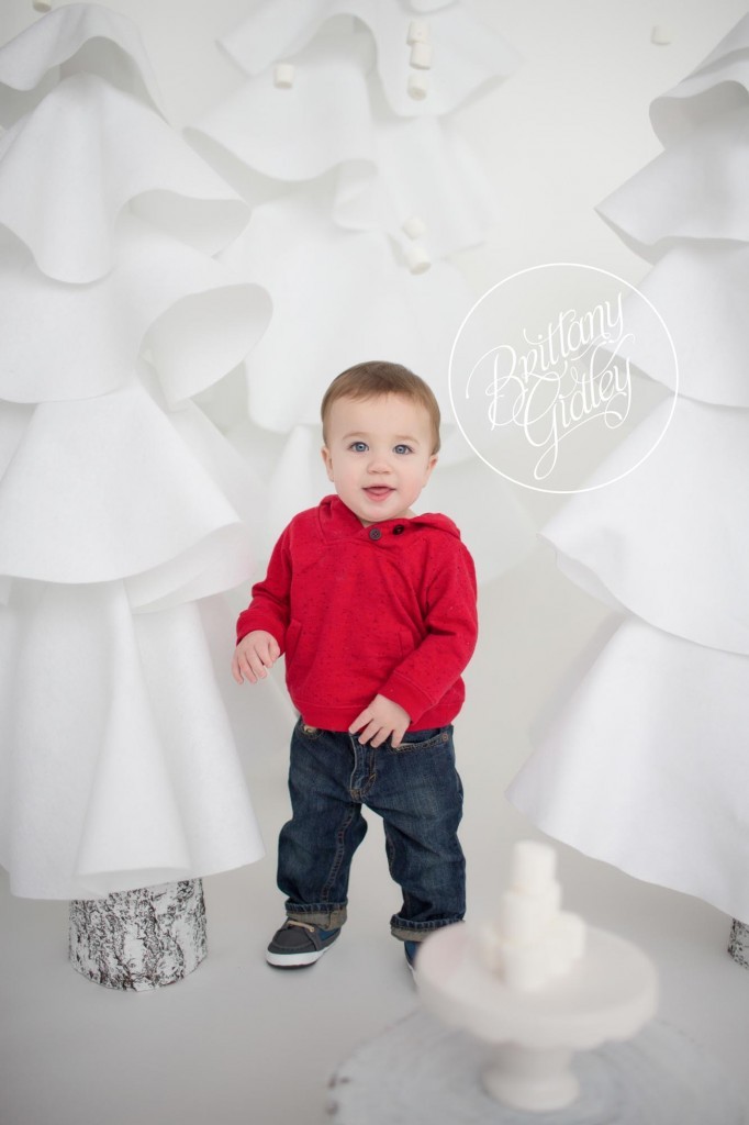 12 Month Baby | Cake Smash Session | Cleveland Ohio