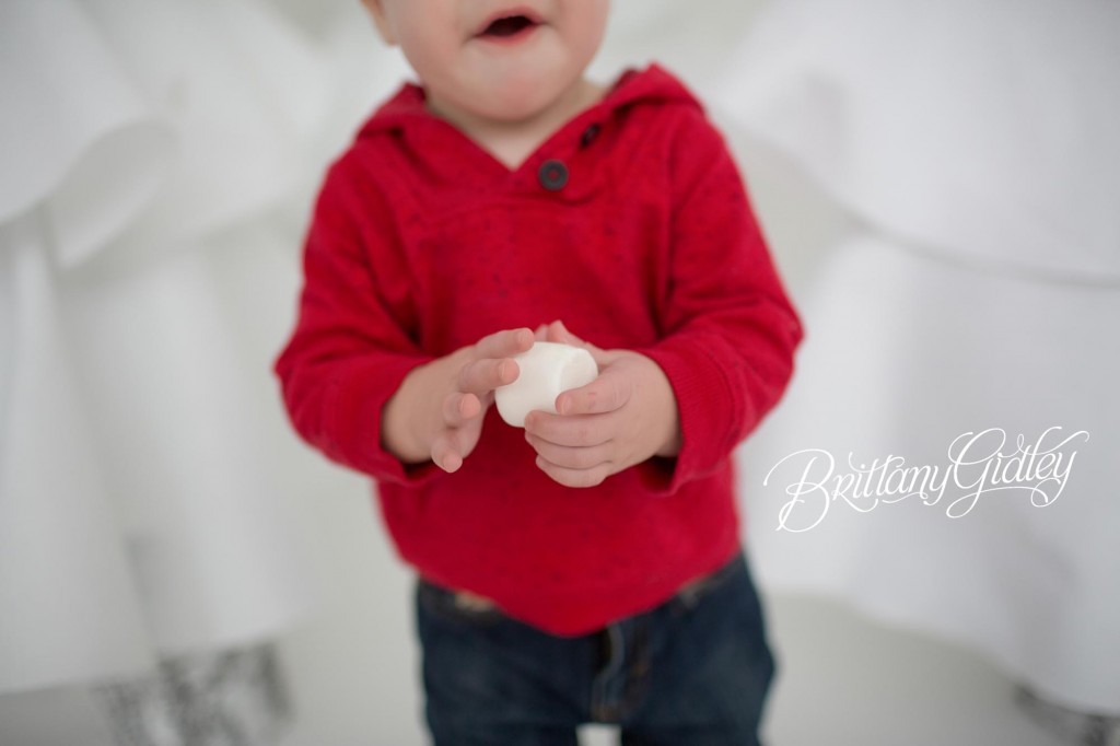 Cake Smash Session | Cleveland Ohio | Brittany Gidley Photography LLC