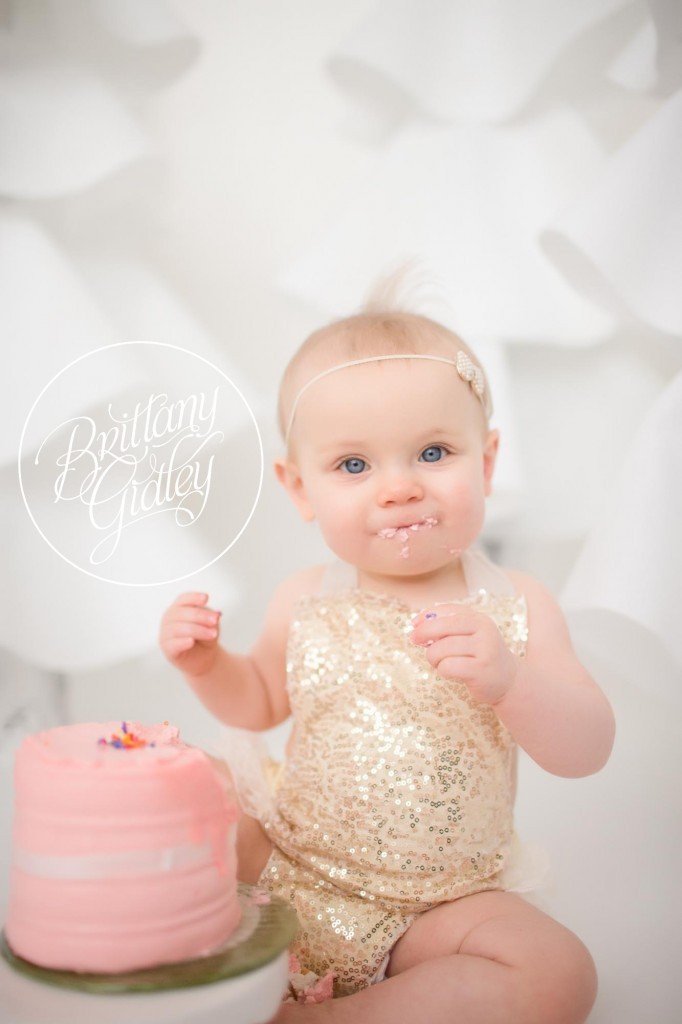 Cake Smash Photographer | Cake Smash | Baby Photographer | Cleveland Ohio