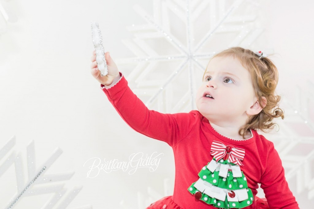 Cleveland Christmas Mini Sessions-22