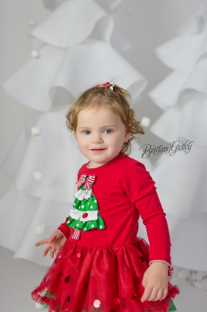 Cleveland Christmas Mini Sessions-24