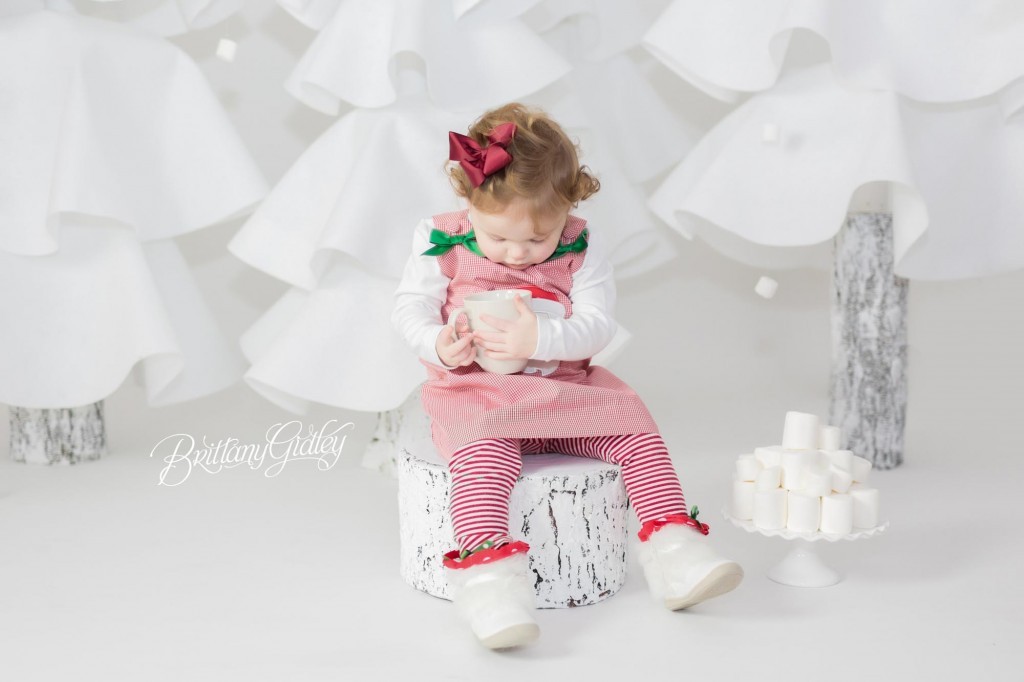 Cleveland Christmas Mini Sessions-25