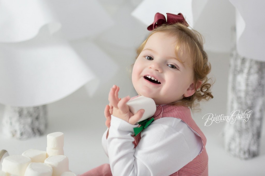 Cleveland Christmas Mini Sessions-26