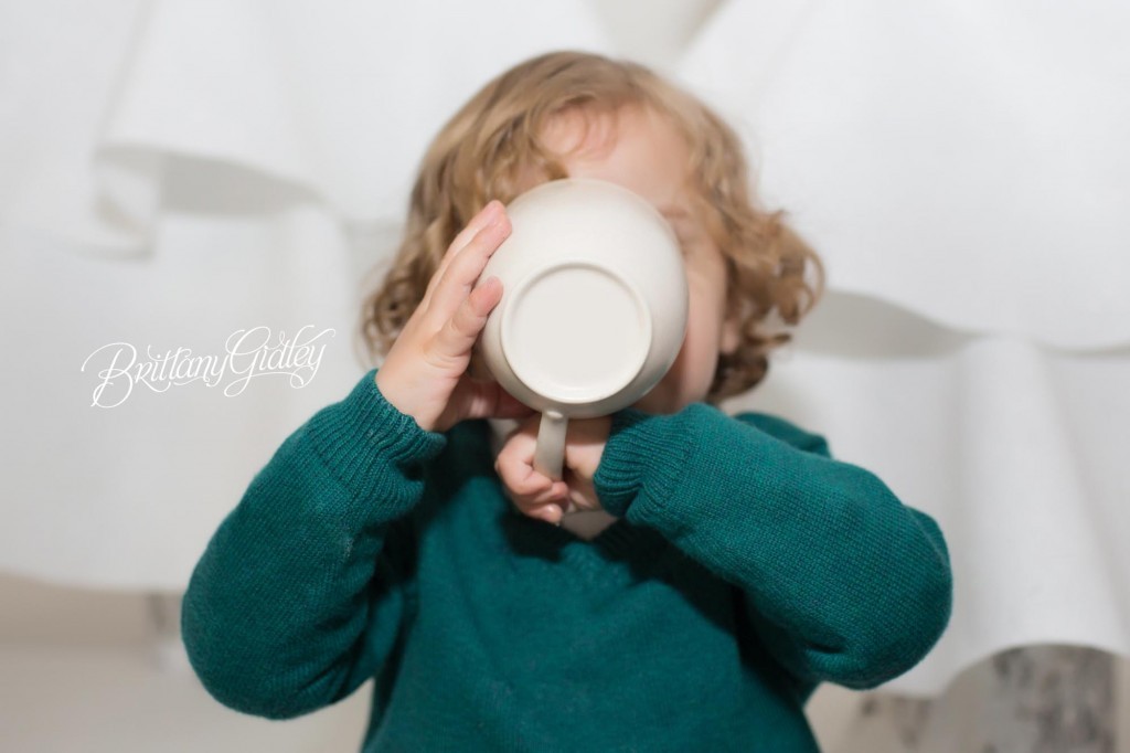 Cleveland Christmas Mini Sessions-30