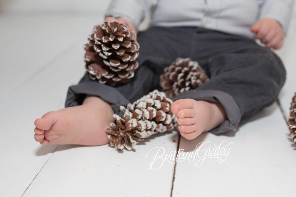 Cleveland Christmas Mini Sessions-33