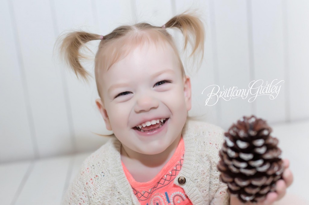 Cleveland Christmas Mini Sessions-4