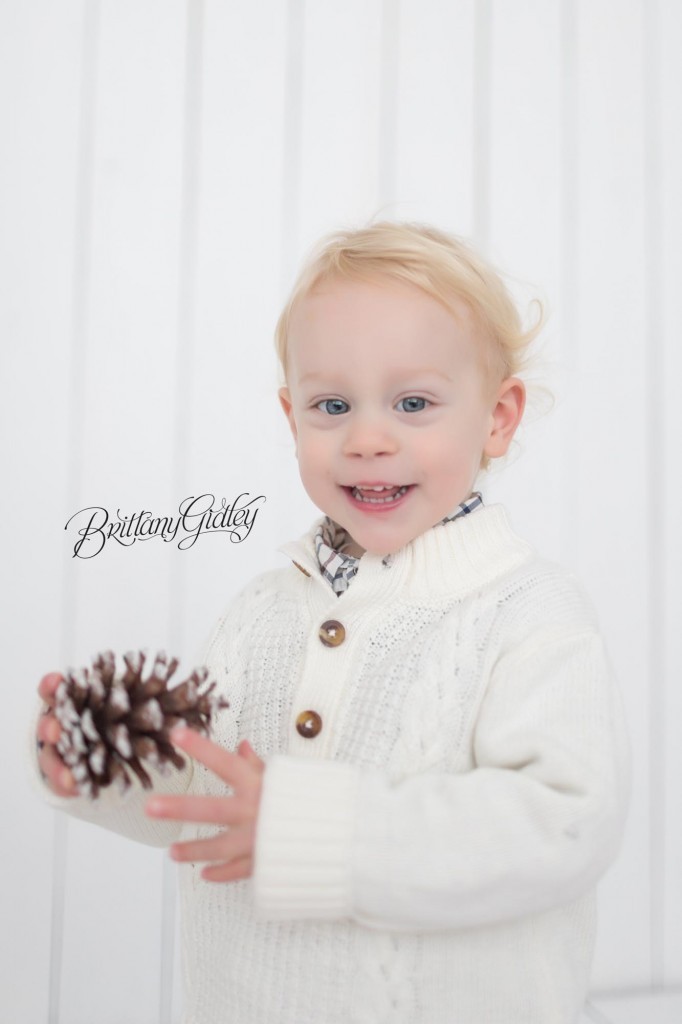 Cleveland Christmas Mini Sessions-41