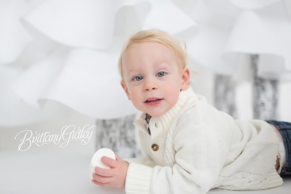 Cleveland Christmas Mini Sessions-42