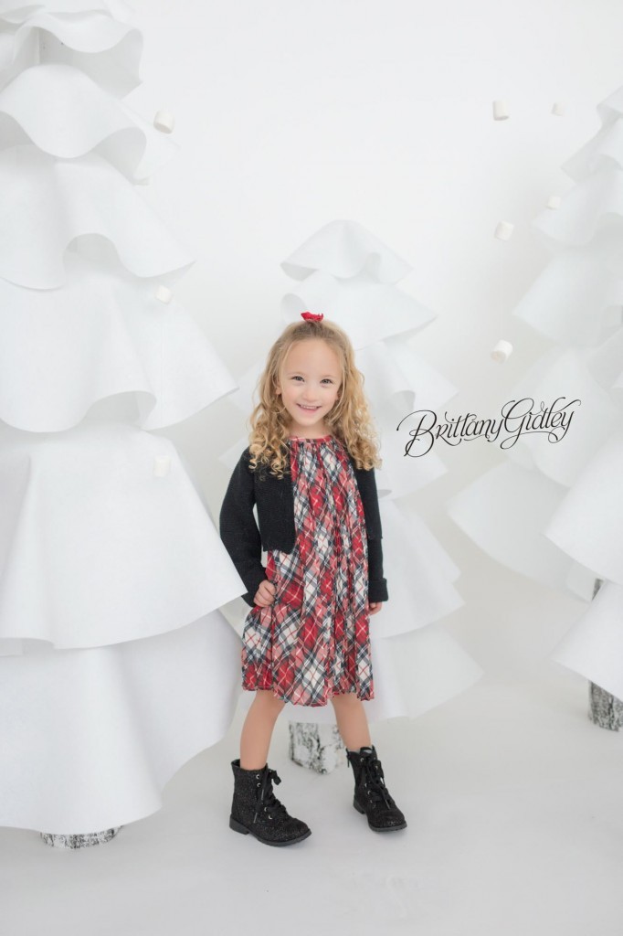 Cleveland Christmas Mini Sessions-54