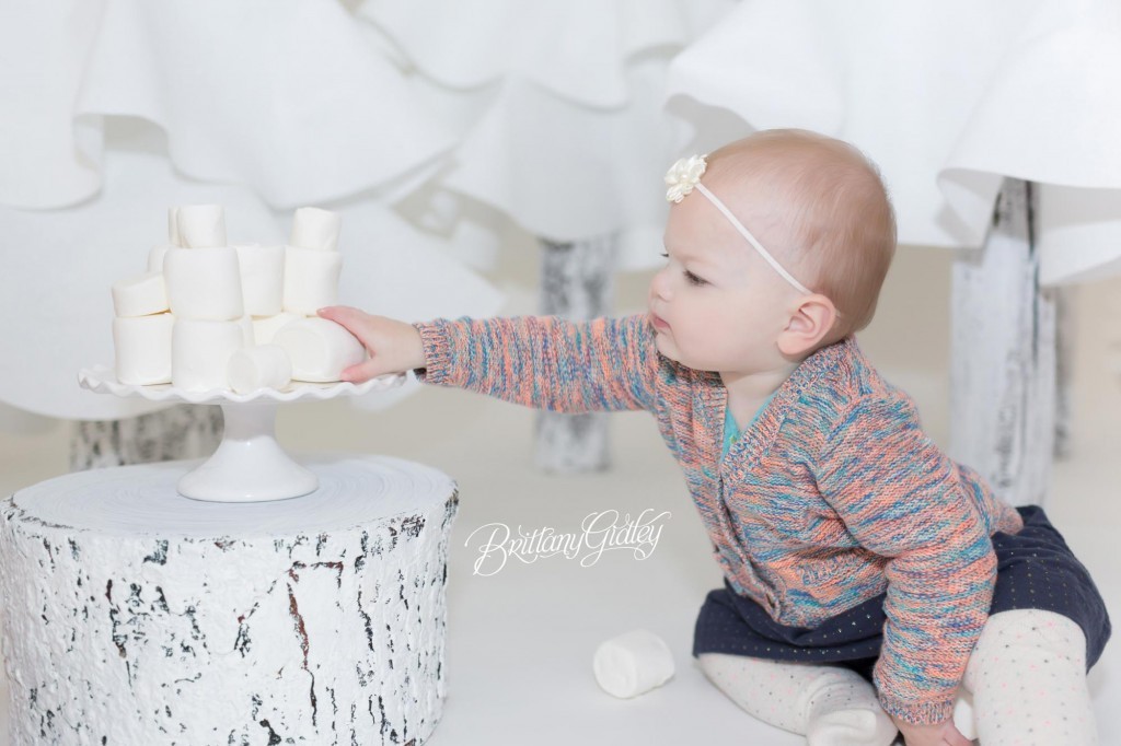 Cleveland Christmas Mini Sessions-6