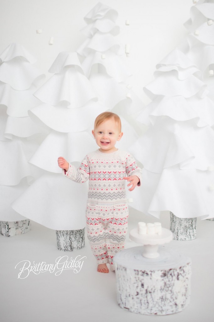 Cleveland Christmas Mini Sessions-61