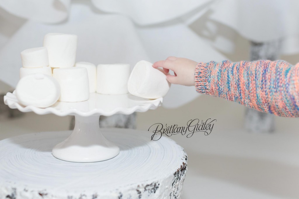 Cleveland Christmas Mini Sessions-7