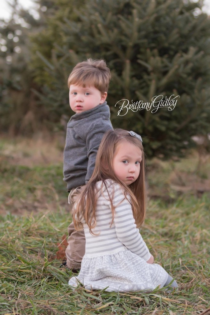 Christmas Tree Farm | Cleveland Ohio | Start With The Best | Dream Session | Lifestyle Photography | Brittany Gidley Photography LLC