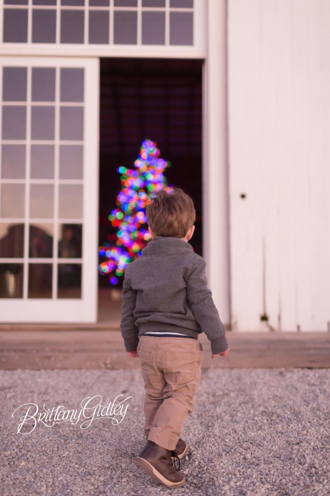 Christmas Tree Farm | Cleveland Ohio | Start With The Best | Dream Session | Lifestyle Photography | Brittany Gidley Photography LLC