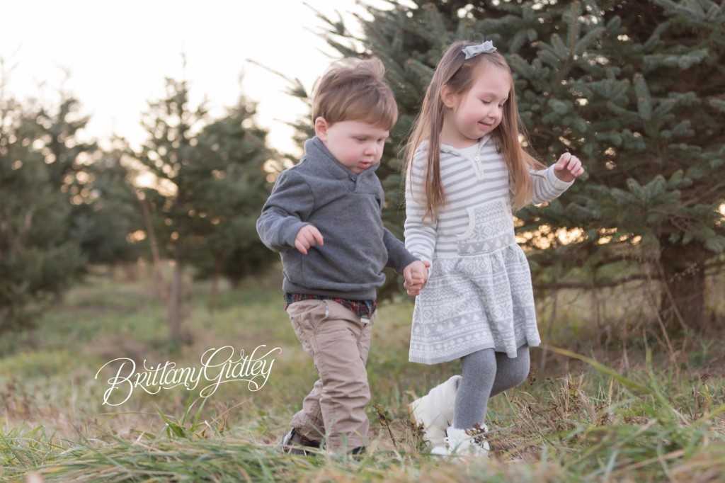 Christmas Tree Farm | Cleveland Ohio | Start With The Best | Dream Session | Lifestyle Photography | Brittany Gidley Photography LLC