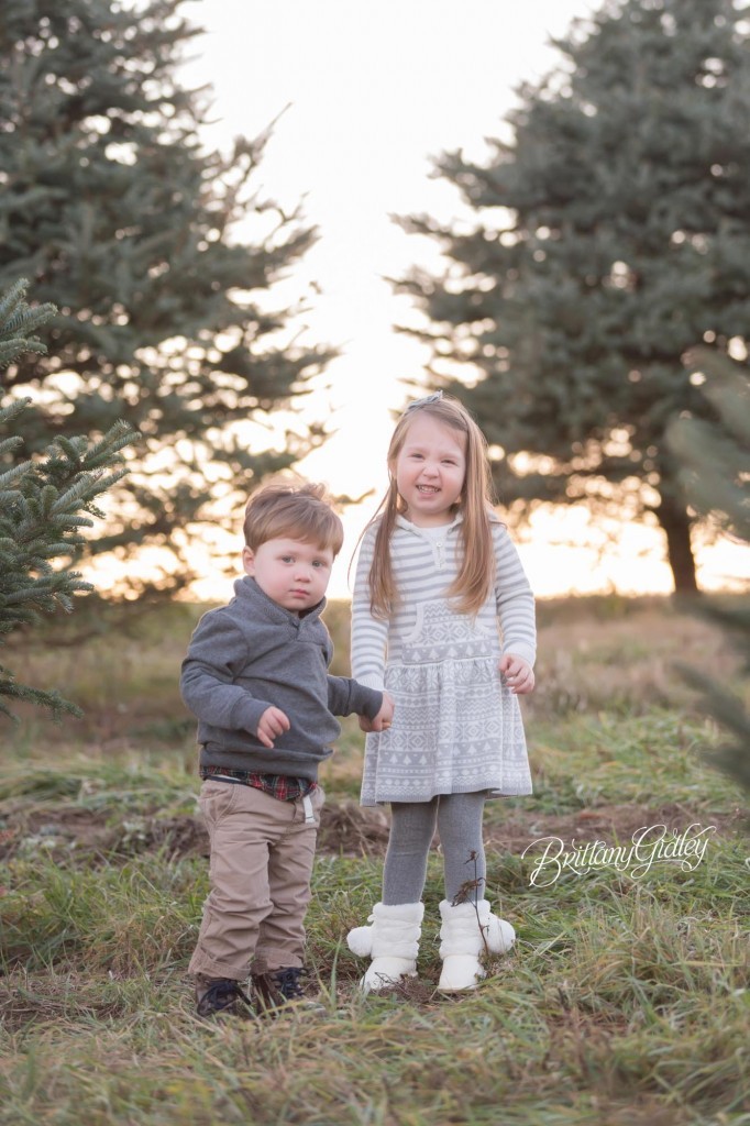 Christmas Tree Farm | Cleveland Ohio | Start With The Best | Dream Session | Lifestyle Photography | Brittany Gidley Photography LLC