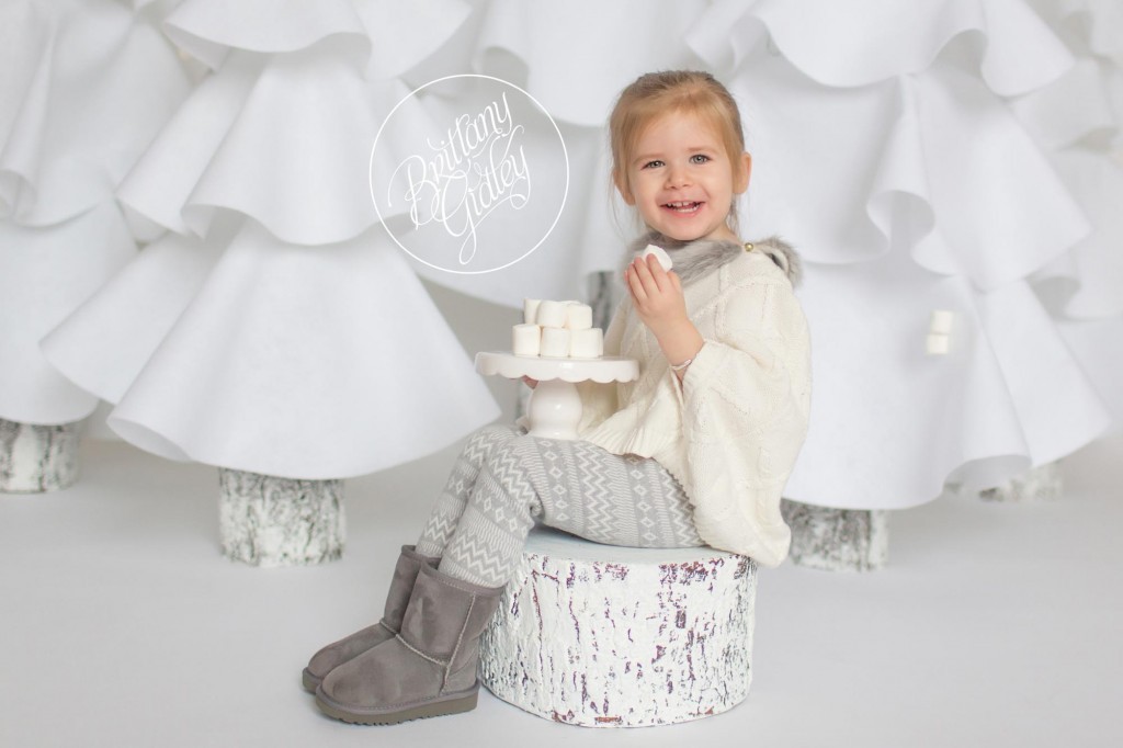 Christmas Photography | Cleveland Ohio | Christmas Pictures | Photography