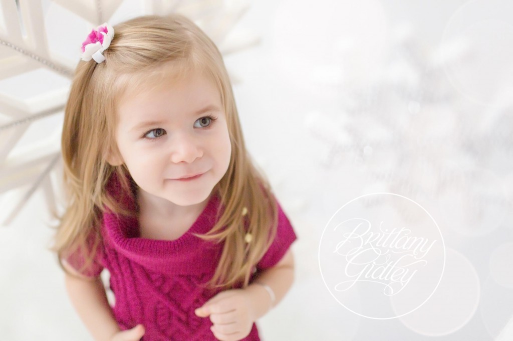 Christmas Photography | Cleveland Ohio | Christmas Pictures | Photography