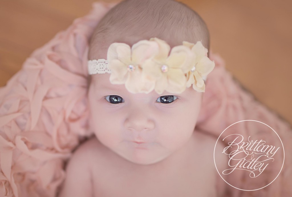 Cleveland Newborn Photographer | Newborn Poses | Cleveland, Ohio | Best Newborn Photographer
