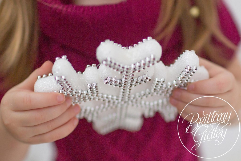 Christmas Photography | Cleveland Ohio | Christmas Pictures | Photography