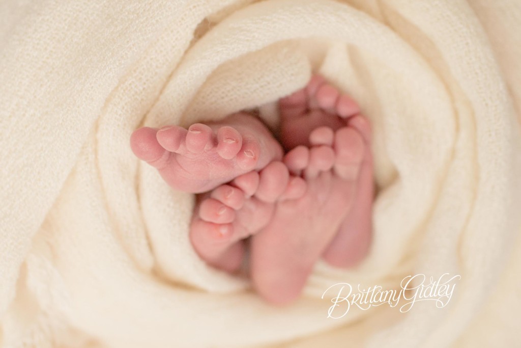 Twin Newborn Photographer | Cleveland Ohio Newborn Photographer | Twin Newborn Session | Start With The Best | Brittany Gidley Photography LLC
