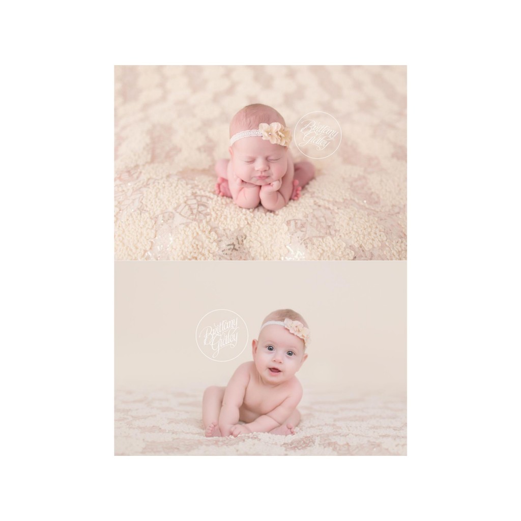 Cleveland Baby Photography | Cleveland Photography Studio | Baby Photographer | 6 Month Baby