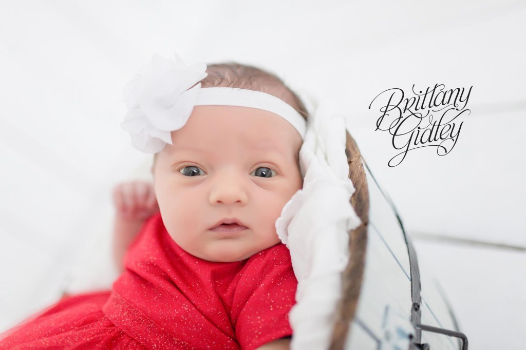 Newborn Portraits | Newborn Photographer | Extended Family Potraits | Family | Start With The Best | Brittany Gidley Photography LLC