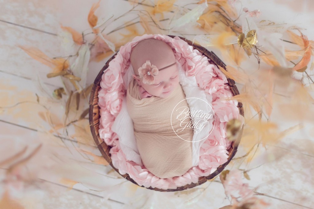 Cleveland Newborn Baby Photographer | Newborn Baby Photography | Cleveland, Ohio | Start With The Best | Cleveland's Best Baby Photographer | Newborn Portraits | Newborn Pictures