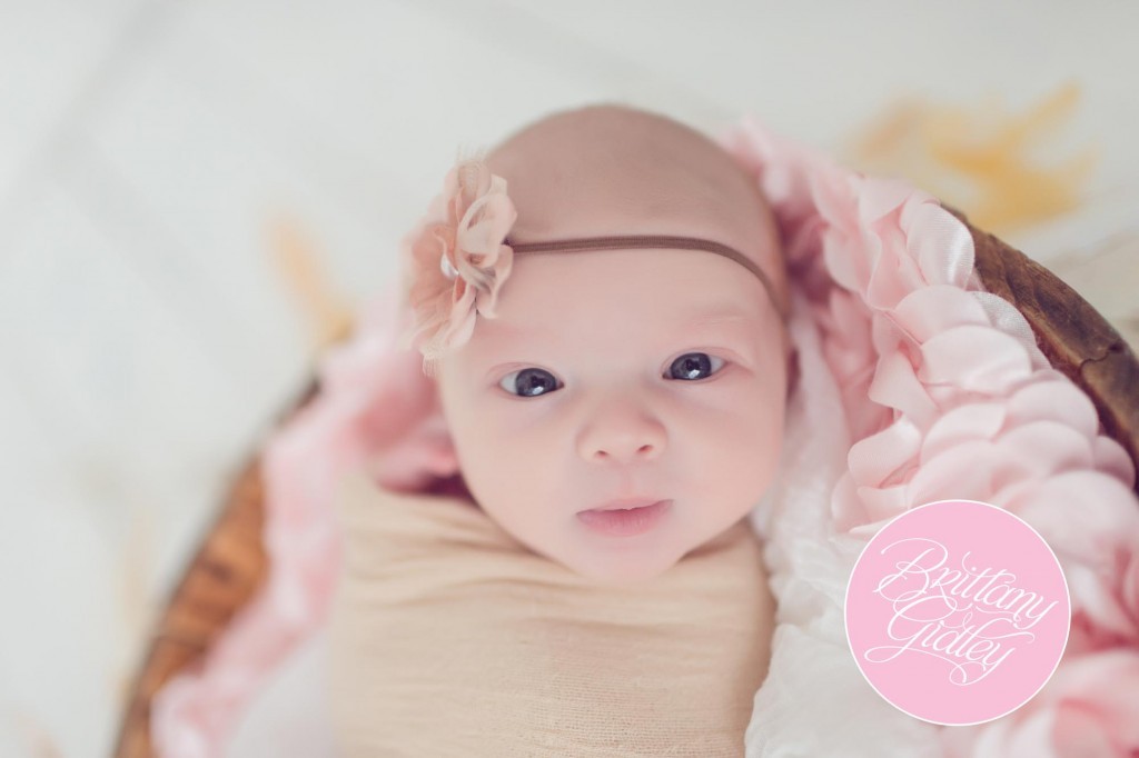 Baby Photographer | Newborn Photography | Cleveland, Ohio | Start With The Best | Cleveland's Best Baby Photographer | Newborn Portraits | Newborn Pictures