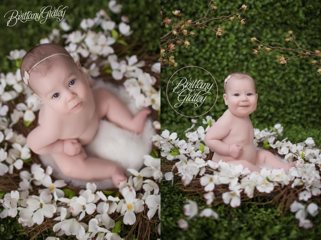 Baby Photography | 6 Month Baby | Studio | Cleveland Ohio
